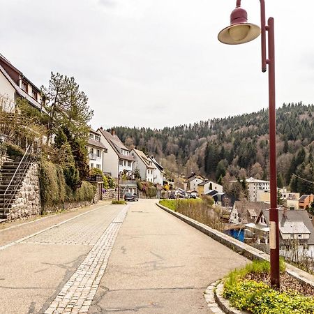 Ferienappartement Sonnenhof Triberg im Schwarzwald Dış mekan fotoğraf