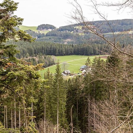 Ferienappartement Sonnenhof Triberg im Schwarzwald Dış mekan fotoğraf