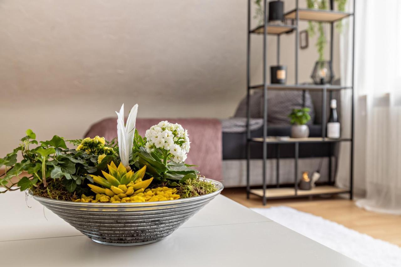 Ferienappartement Sonnenhof Triberg im Schwarzwald Dış mekan fotoğraf