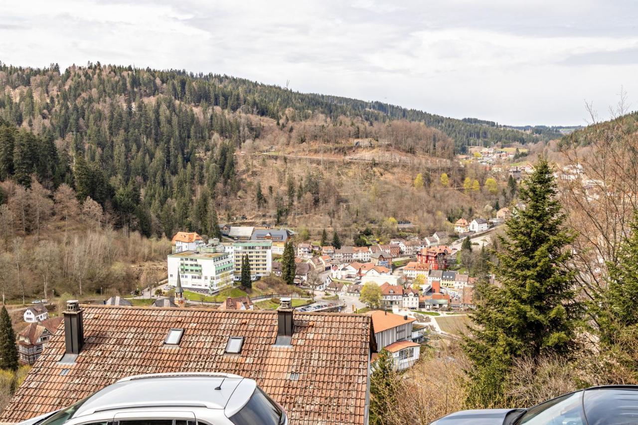 Ferienappartement Sonnenhof Triberg im Schwarzwald Dış mekan fotoğraf