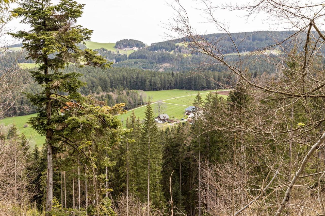 Ferienappartement Sonnenhof Triberg im Schwarzwald Dış mekan fotoğraf